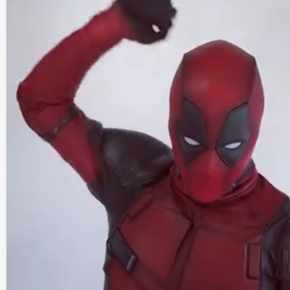 Meet your Posher, Pals farm